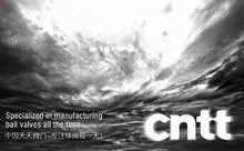 推薦案例：中國(guó)天正集團(tuán)天天閥門網(wǎng)站設(shè)計(jì)